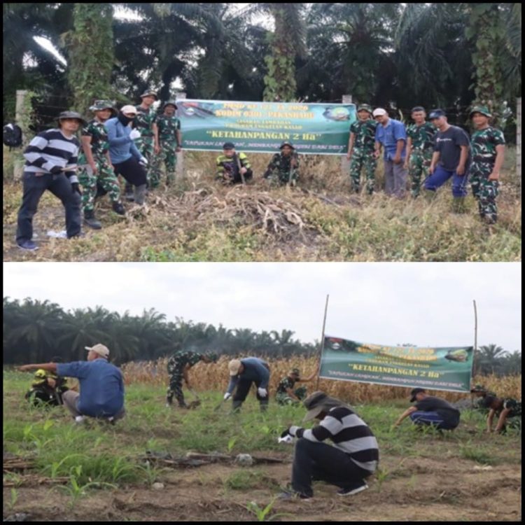 Tanam Jagung, Cabai, dan Ubi, Satgas TMMD dan Warga Wujudkan Lahan Produktif