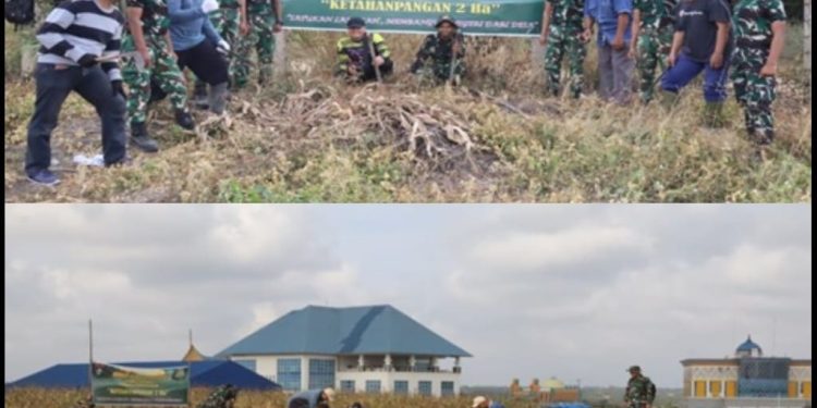 Langkah Nyata TMMD ke-127, TNI dan Warga Tanam Jagung, Cabai, dan Ubi