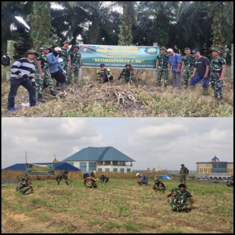 Langkah Nyata TMMD ke-127, TNI dan Warga Tanam Jagung, Cabai, dan Ubi