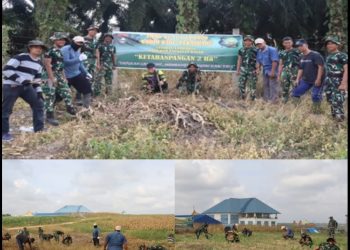 Dukung Program Ketahanan Pangan, Satgas TMMD ke-127 Kodim 0301/Pekanbaru Tanam Jagung, Cabai dan Ubi