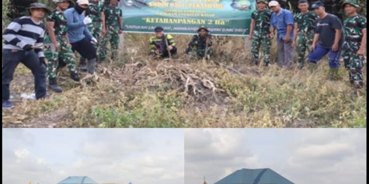 Dukung Program Ketahanan Pangan, Satgas TMMD ke-127 Kodim 0301/Pekanbaru Tanam Jagung, Cabai dan Ubi