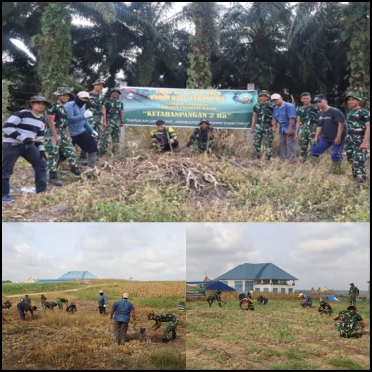 Dukung Program Ketahanan Pangan, Satgas TMMD ke-127 Kodim 0301/Pekanbaru Tanam Jagung, Cabai dan Ubi