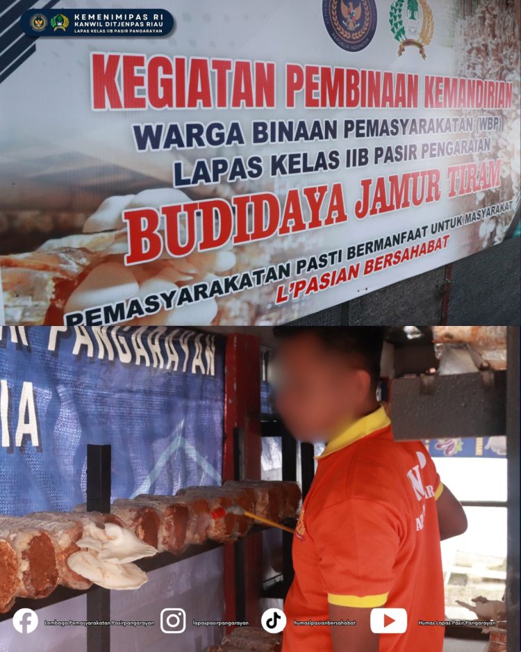 Lapas Pasir Pangarayan Hadirkan Kemandirian Warga Binaan Melalui Budidaya Jamur Tiram