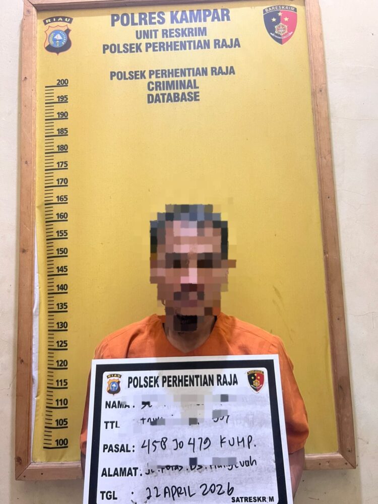 Akhir Pelaku Pembunuhan Wanita Pengepul Brondolan Sawit di Sialang Kubang Ditangkap
