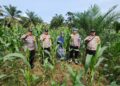 Polsek Rambah Gandeng Kelompok Tani, Perkuat Ketahanan Pangan di Menaming