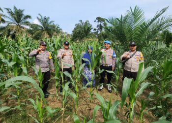 Polsek Rambah Gandeng Kelompok Tani, Perkuat Ketahanan Pangan di Menaming
