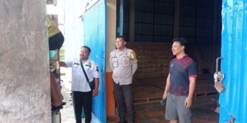 Polsek Tambusai Utara Kawal Penyerapan Jagung Petani, Wujud Nyata Polisi Cinta Petani