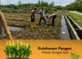 Bhabinkamtibmas Kampung Sungai Rawa Bersama Kelompok Tani Laksanakan Pemupukan Jagung Ketahanan Pangan