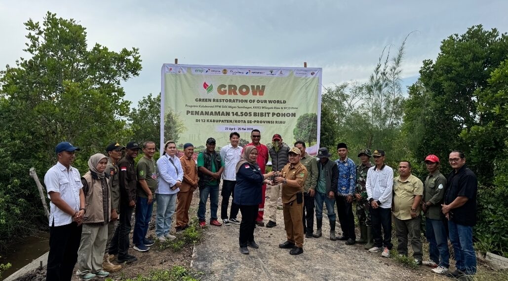 Dukung Restorasi Pesisir, SKK Migas Sumbagut dan KKKS Wilayah Riau Lanjutkan Penanaman 800 Mangrove di Kepulauan Meranti