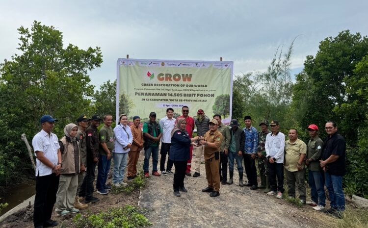 Dukung Restorasi Pesisir, SKK Migas Sumbagut dan KKKS Wilayah Riau Lanjutkan Penanaman 800 Mangrove di Kepulauan Meranti