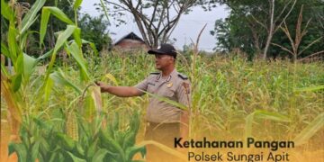 Dukung Program Presiden, Polsek Sungai Apit Kawal Ketahanan Pangan Melalui Sektor Pertanian