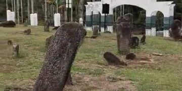 Situs Menhir Maek Ungkap Jejak Peradaban Ribuan Tahun, Pemprov Sumbar Dorong Kajian Dunia