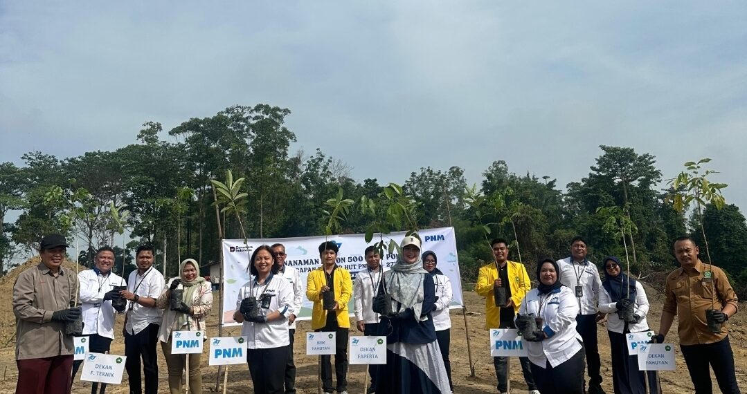 Dari Pakaian, Buku, hingga 29.000 Pohon: PNM Perluas Makna Pemberdayaan di Masyarakat Akar Rumput