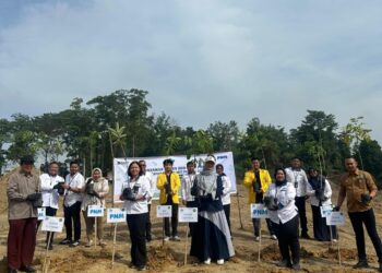 Dari Pakaian, Buku, hingga 29.000 Pohon: PNM Perluas Makna Pemberdayaan di Masyarakat Akar Rumput