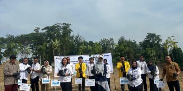 Dari Pakaian, Buku, hingga 29.000 Pohon: PNM Perluas Makna Pemberdayaan di Masyarakat Akar Rumput