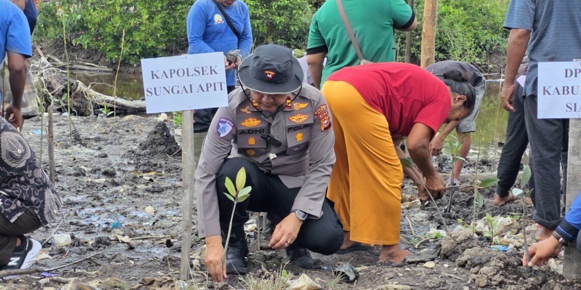 Tanam 7.000 Mangrove di Penyengat, Polsek Sungai Apit Perkuat Green Policing dan Bentengi Pesisir dari Abrasi