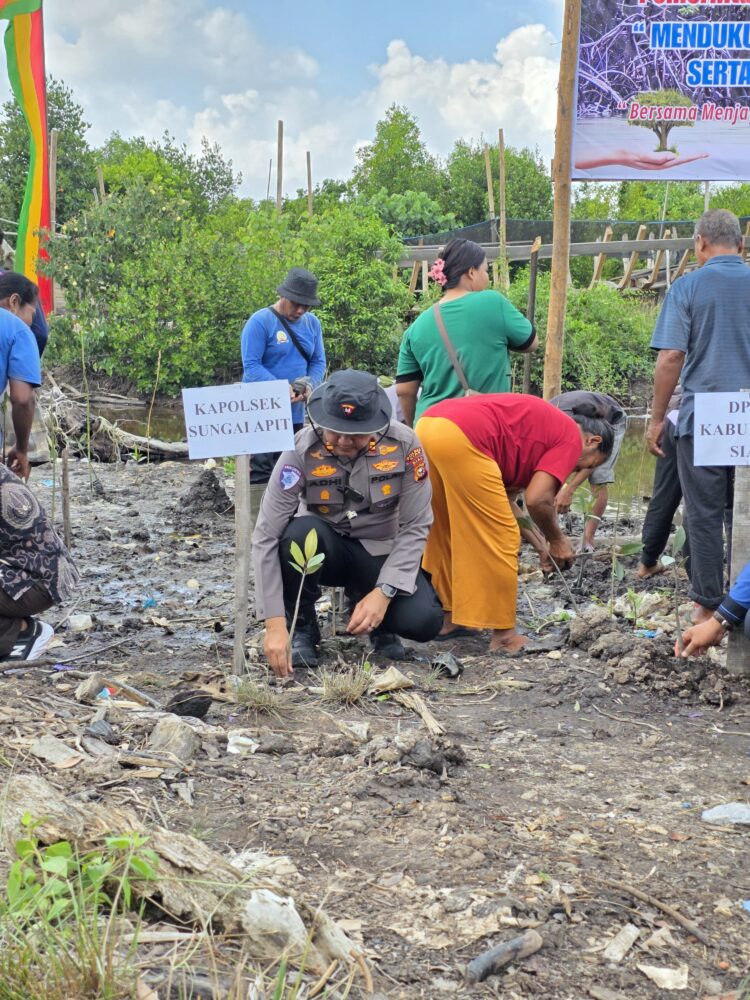 Tanam 7.000 Mangrove di Penyengat, Polsek Sungai Apit Perkuat Green Policing dan Bentengi Pesisir dari Abrasi