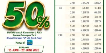 Sambut HUT Pekanbaru ke-242, PLN UID Riau dan Kepri Hadirkan Promo Tambah Daya Diskon 50 Persen