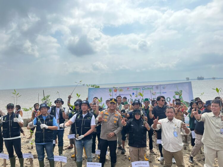 Mengawal Alam, Menjaga Negeri: Polsek Sungai Apit Sukses Amankan Penanaman 5.000 Bibit Mangrove