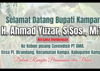Dari Lahan Menjadi Harapan, Ferlina Susanti Apresiasi Gagasan H. Jefry Noer untuk Kampar