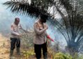 Kapolres Dharmasraya Tinjau Lokasi Karhutla di Timpeh, Imbau Masyarakat Tidak Membakar Lahan