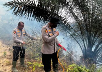 Kapolres Dharmasraya Tinjau Lokasi Karhutla di Timpeh, Imbau Masyarakat Tidak Membakar Lahan