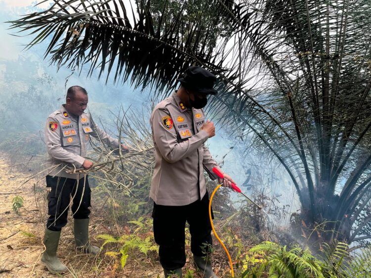 Kapolres Dharmasraya Tinjau Lokasi Karhutla di Timpeh, Imbau Masyarakat Tidak Membakar Lahan
