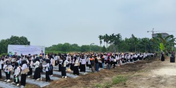 Mapala UMRI Libatkan 500 Lebih Mahasiswa Baru dalam Penanaman Nenas dan Jagung untuk Dukung Ketahanan Pangan Nasional