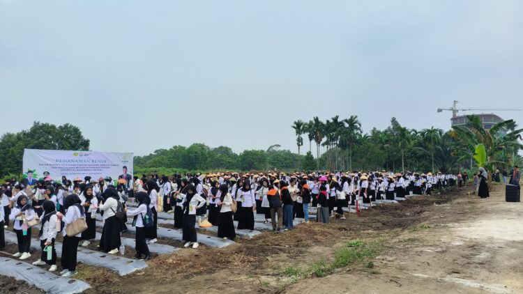 Mapala UMRI Libatkan 500 Lebih Mahasiswa Baru dalam Penanaman Nenas dan Jagung untuk Dukung Ketahanan Pangan Nasional
