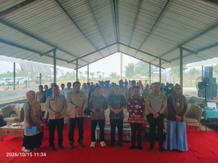 DPP Tani Merdeka Dorong Pembangunan Pabrik Ubi di Riau, Petani Harus Naik Kelas